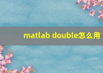 matlab double怎么用